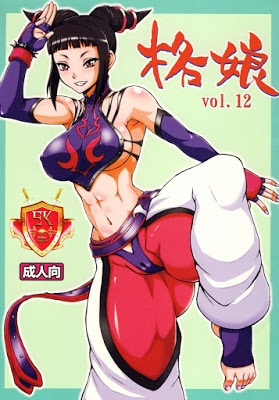 Kaku Musume vol. 12 (Street Fighter IV)