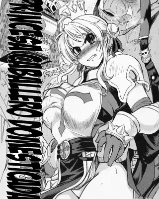 Ragnarok Online xxx, Lord Knight xxx, Hime Kishi Tame (Ragnarok Online), pagina 1