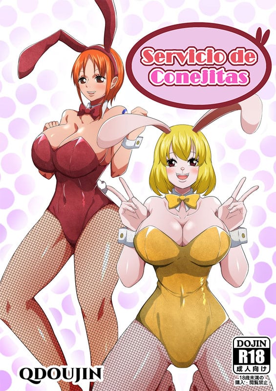 Bunny Service (One Piece)