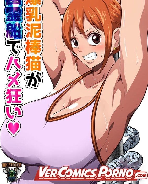 Bakunyuu Dorobouneko ga Yuureisen de Hamegurui (One Piece)
