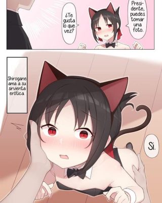 Nekomimi no Kaguya-sama (Kaguya-sama wa Kokurasetai)