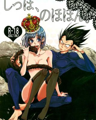Doujinshi en español de Bulma Briefs, Vegeta de Dragon Ball Z