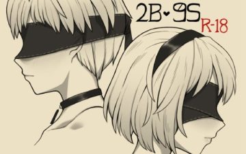 2b 9s nierautomata