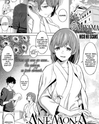 Doujinshi en español