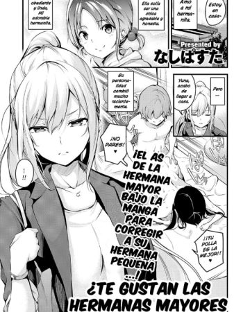 darashinaku ochiru onee san wa suki desu ka comic exe 24 1