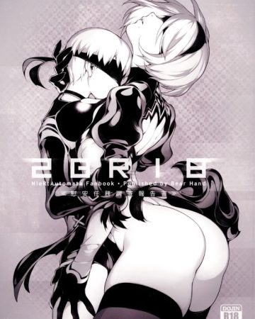 nier2br18 nierautomata 1