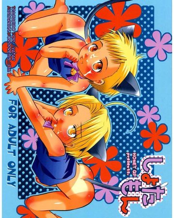 shotamon fullmetal alchemist