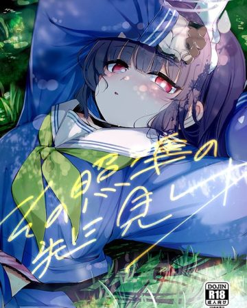 sono shoujun no saki ni miyu blue archive copia