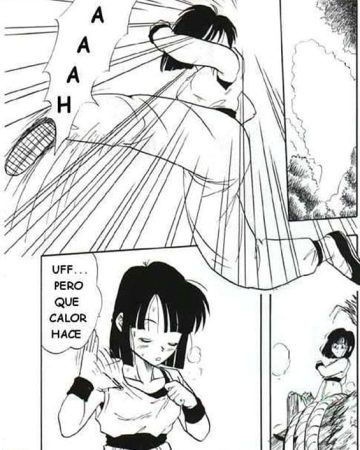 pan dragon ball z copia