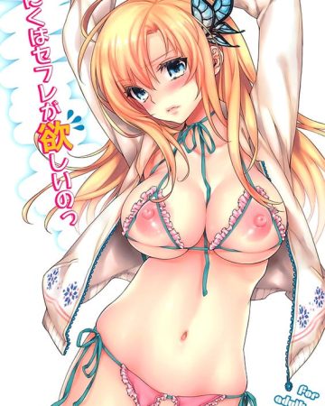 niku wa sefri ga hoshii no boku wa tomodachi ga sukunai copia