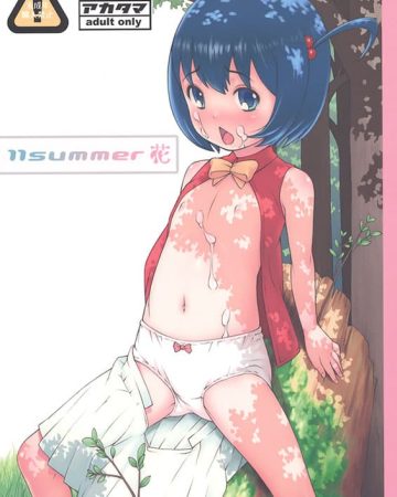 11summer hana ano hi mita hana no namae wo bokutachi wa mada shiranai copia