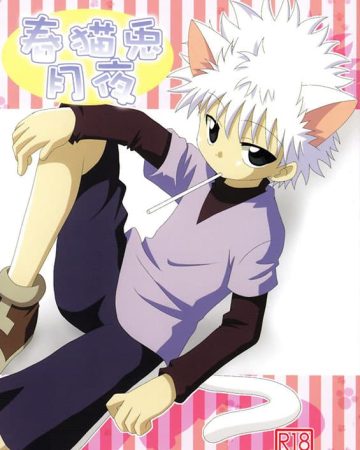 haruneko usagi tsukiyo hunter x hunter copia