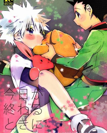 kyou ga owaru tokini hunter x hunter copia