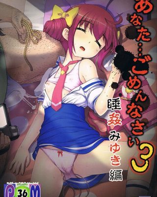 anatagomennasai 3 suikan miyuki hen smile precure copia