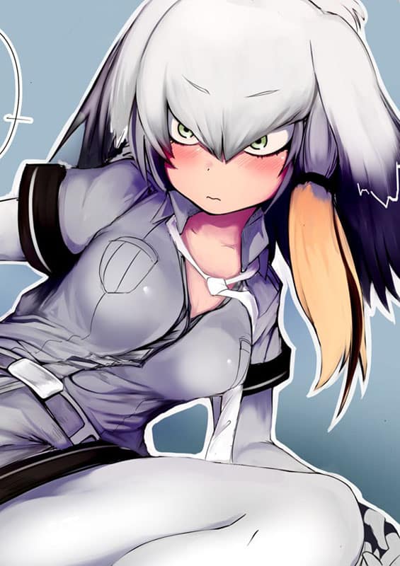 hashibirokou chan kemono friends copia