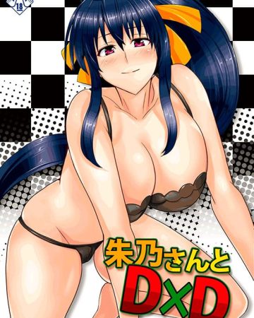 akeno san to dxd highschool dxd copia