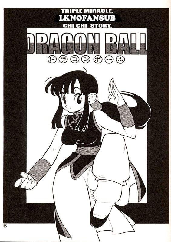 chi chi story dragon ball copia
