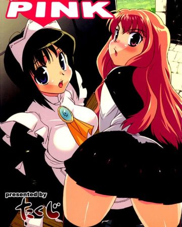 koakuma pink zero no tsukaima copia