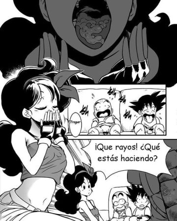 lunch shousasshi dragon ball copia