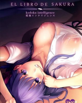 the book of sakura fatestay night copia
