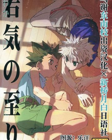 wakage no itari hunter x hunter copia