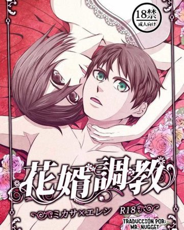 hanamuko choukyou shingeki no kyojin copia