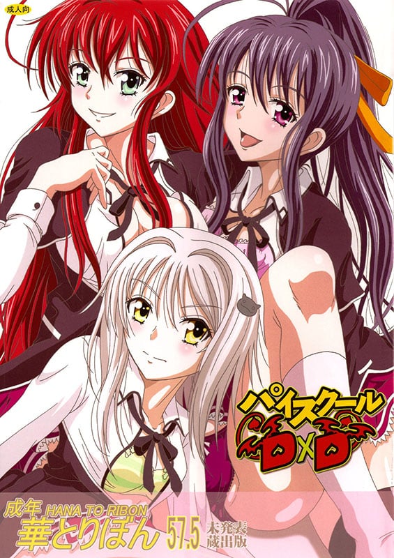 seinen hana to ribon 57 5 paisukuru dxd highschool dxd copia
