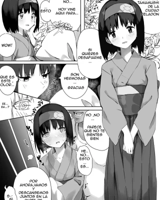 Erika-sama Manga (Pokémon)