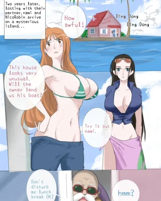 The Sexual Life Of The Turtle Hermit (One Piece, Dragon Ball)