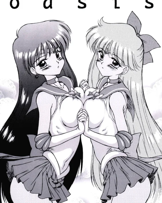 oasis (Bishoujo Senshi Sailor Moon) (Sailor Moon | Bishoujo Senshi Sailor Moon)