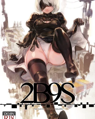 2B9S (NieR:Automata)