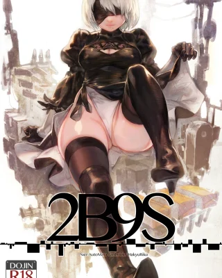2B9S (NieR:Automata)