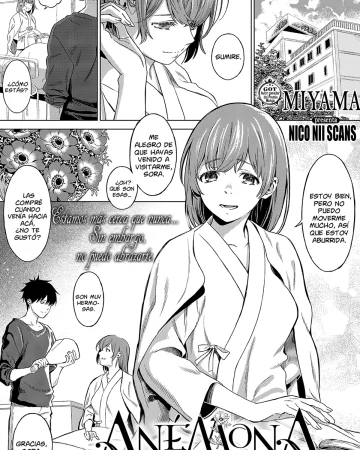 ANEMONE (COMIC ExE 24)