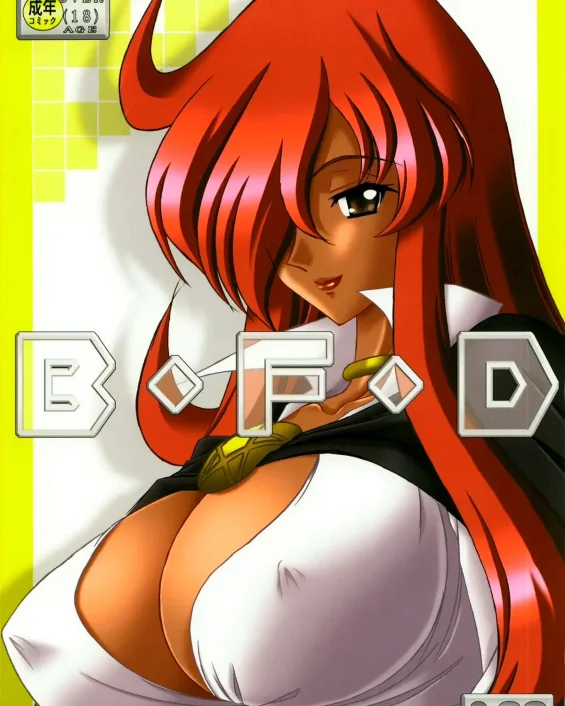 B.F.D 06 (Zero no Tsukaima)