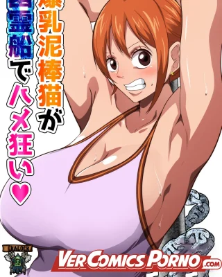 Bakunyuu Dorobouneko ga Yuureisen de Hamegurui (One Piece)