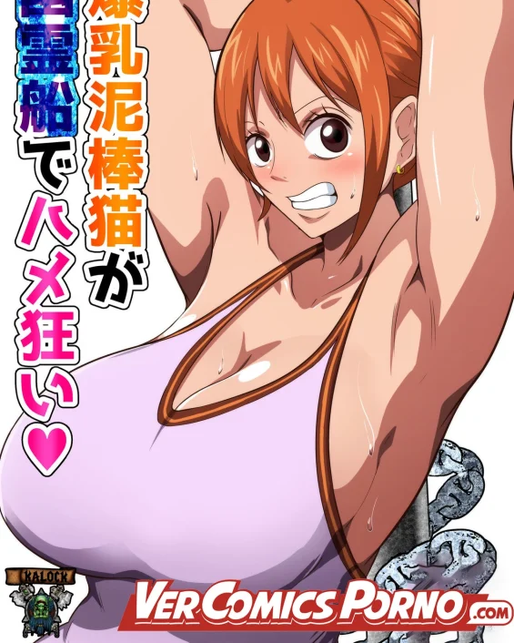Bakunyuu Dorobouneko ga Yuureisen de Hamegurui (One Piece)
