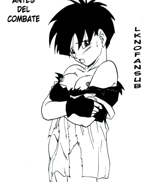 Before the match (Dragon Ball Z)