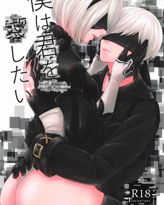 Boku wa Kimi o Aishitai (NieR:Automata)