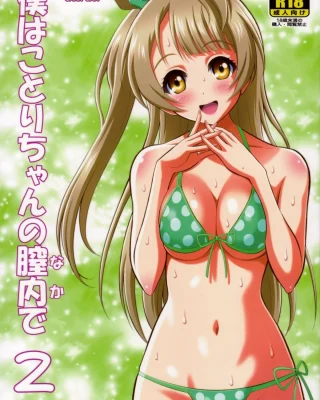Boku wa Kotori-Chan no Naka de 2 (Love Live!)