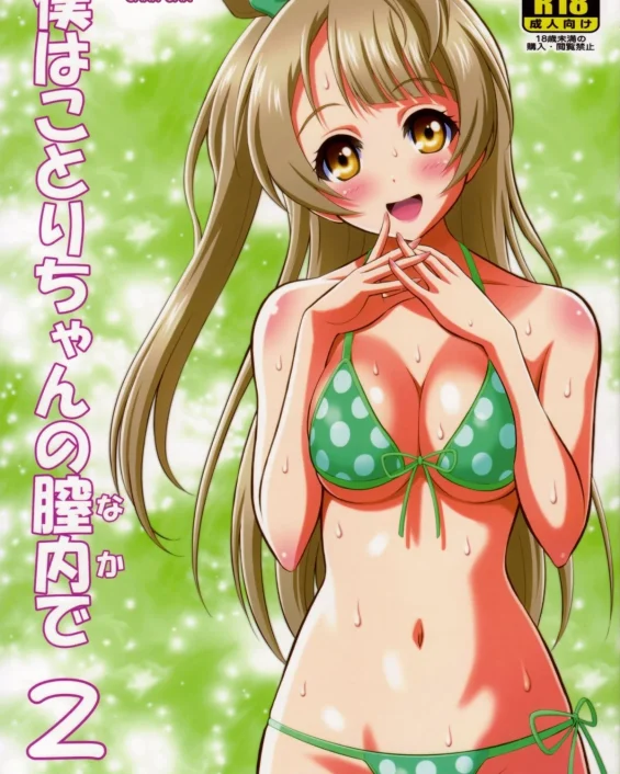 Boku wa Kotori-Chan no Naka de 2 (Love Live!)
