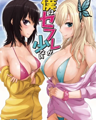 Boku wa Sefure ga Sukunai (Boku wa Tomodachi ga Sukunai)