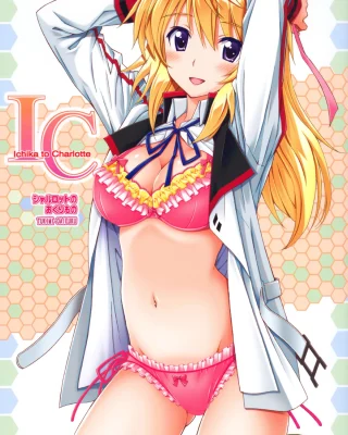 Charlotte no Okurimono (Infinite Stratos)