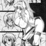 Copy-shi Soushuuhen (Dead or Alive, Gundam Seed Destiny, Mai-Otome, One Piece, Super Black Jack, Zero no Tsukaima, Zoids)