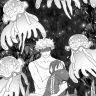 Guzma
