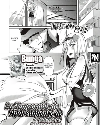Doujinshi en español