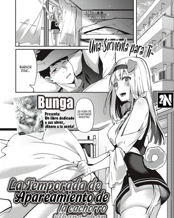 Hatsujou Koinu Akane-chan (COMIC ExE 29)