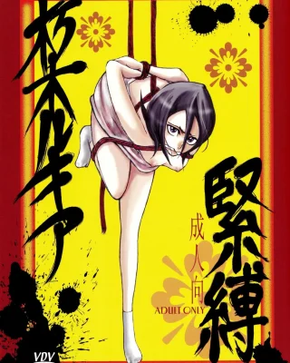 Kuchiki Rukia Kinbaku (Bleach)