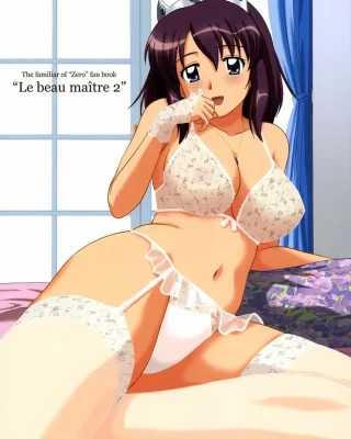 Le Beau Maitre 2 (Zero no Tsukaima)