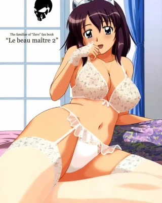 Le Beau Maitre 2 (Zero no Tsukaima)