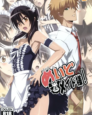 Meid in Maid-sama! (Kaichou wa Maid-sama!)